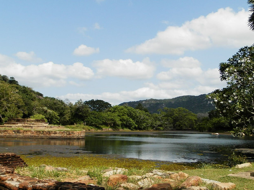 Kalu Diya Pokuna Natural Black Water Pond景点图片