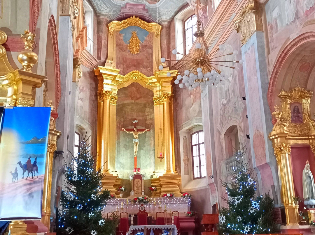 St. Stanislaus Church-莫吉廖夫必去景点