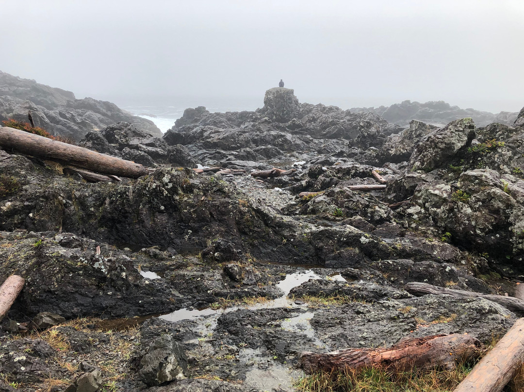 Amphitrite Point Lighthouse景点图片