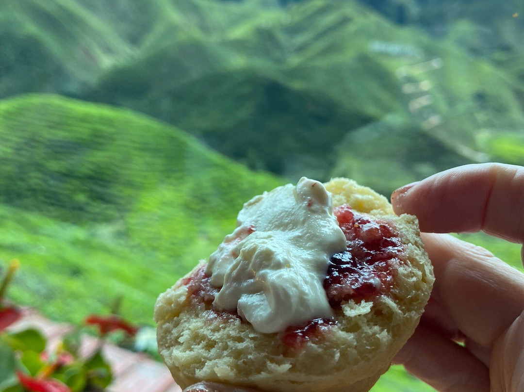 Jaies Chauffeur Service and Tour Assistant-怡保必去景点