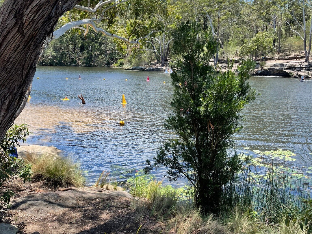 Lake Parramatta Reserve景点图片