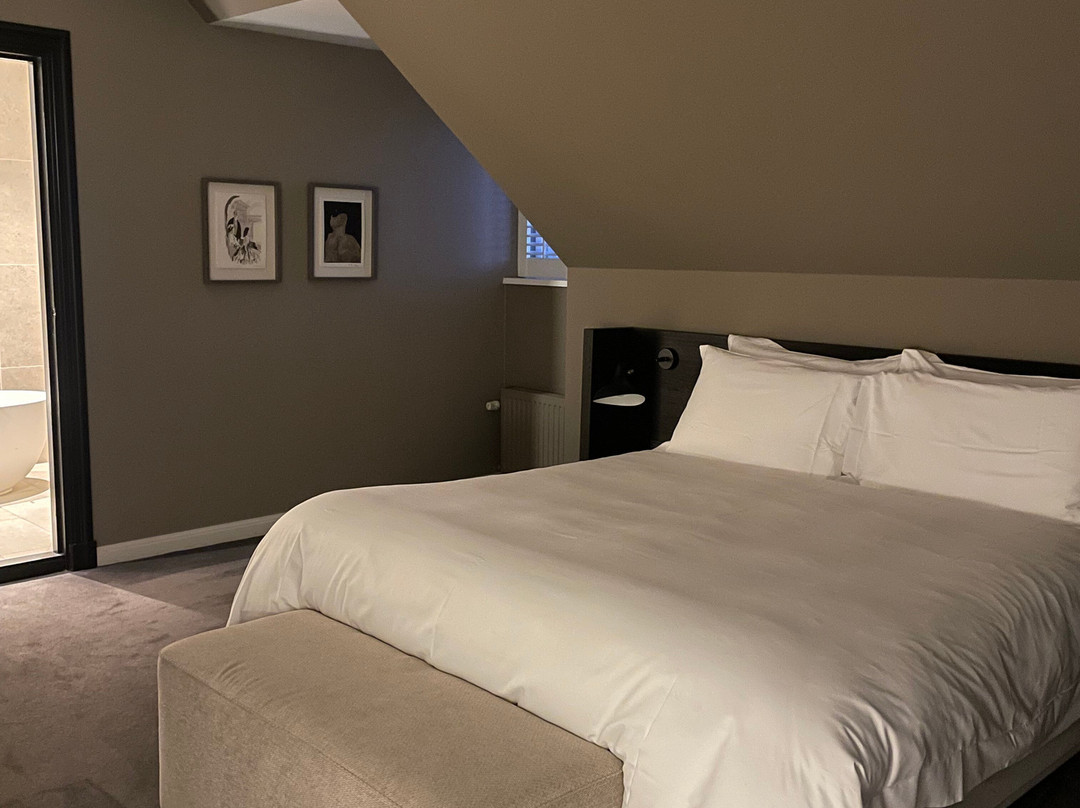 Pillows Grand Boutique Hotel Ter Borch主图