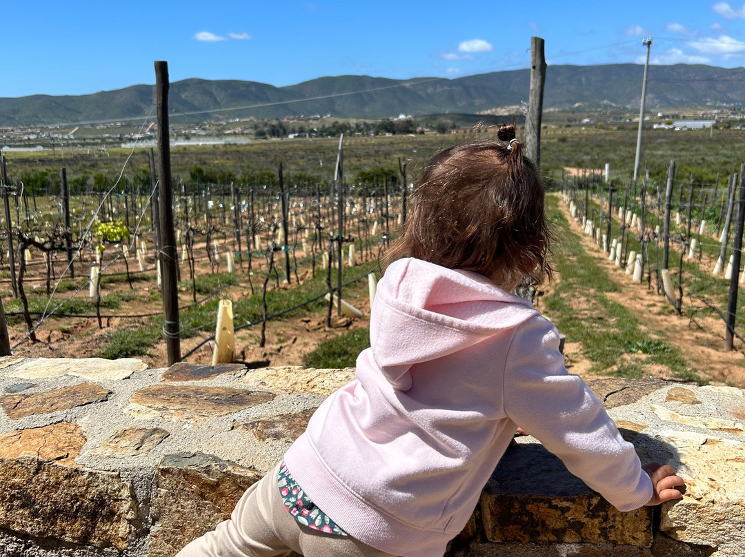 Xecue Vinicola-Valle de Guadalupe必去景点