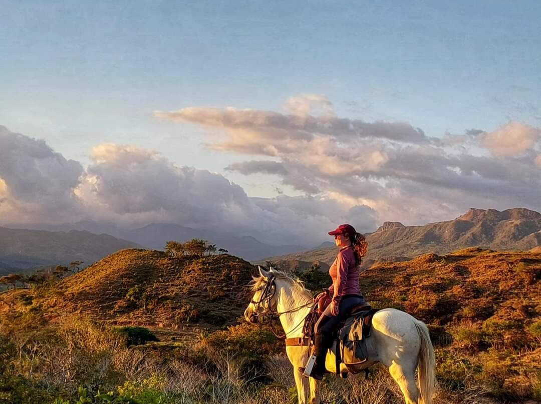 Horseback Panama Adventure Tours景点图片