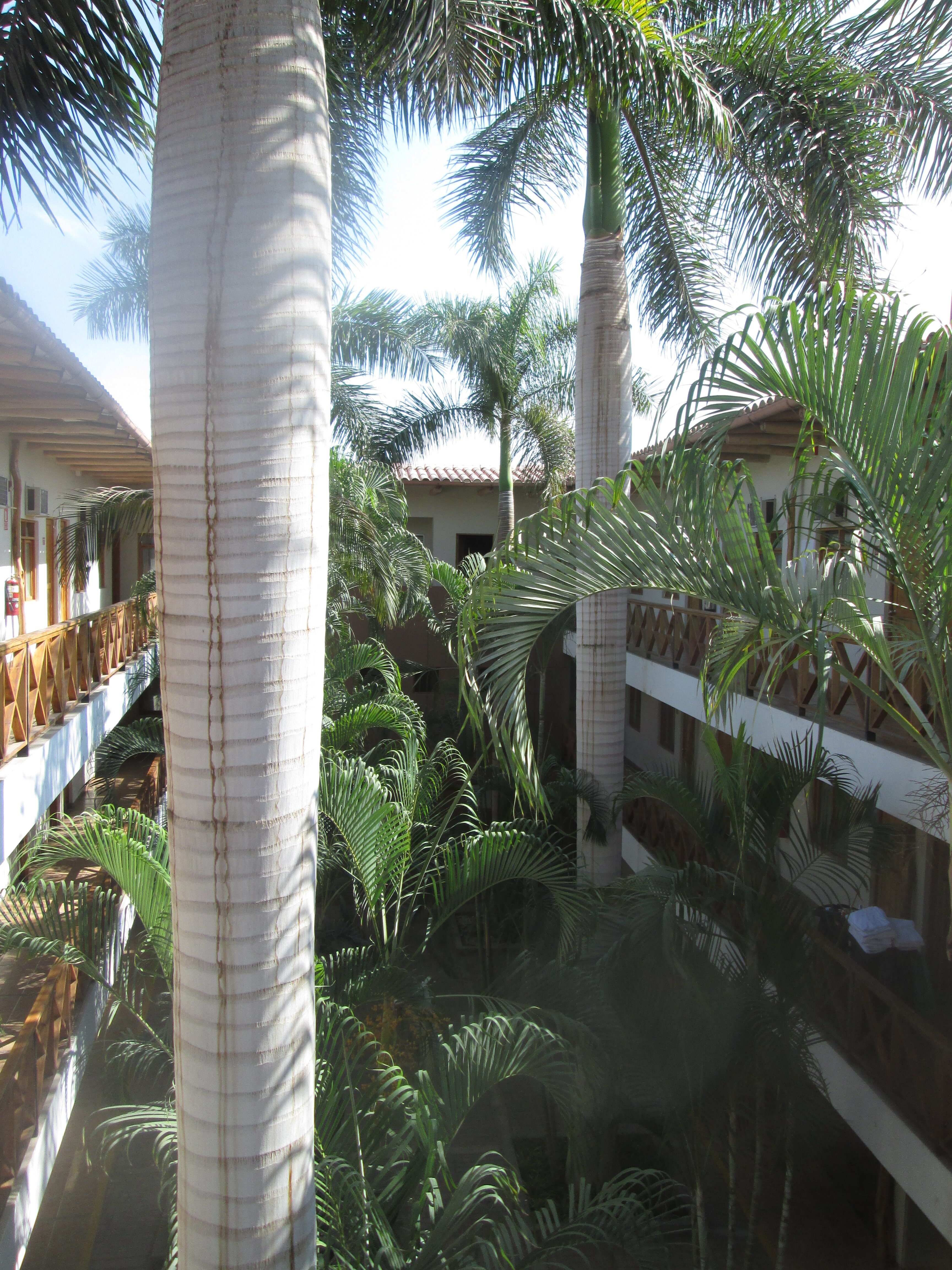 Casa Andina Standard Nasca-浴室