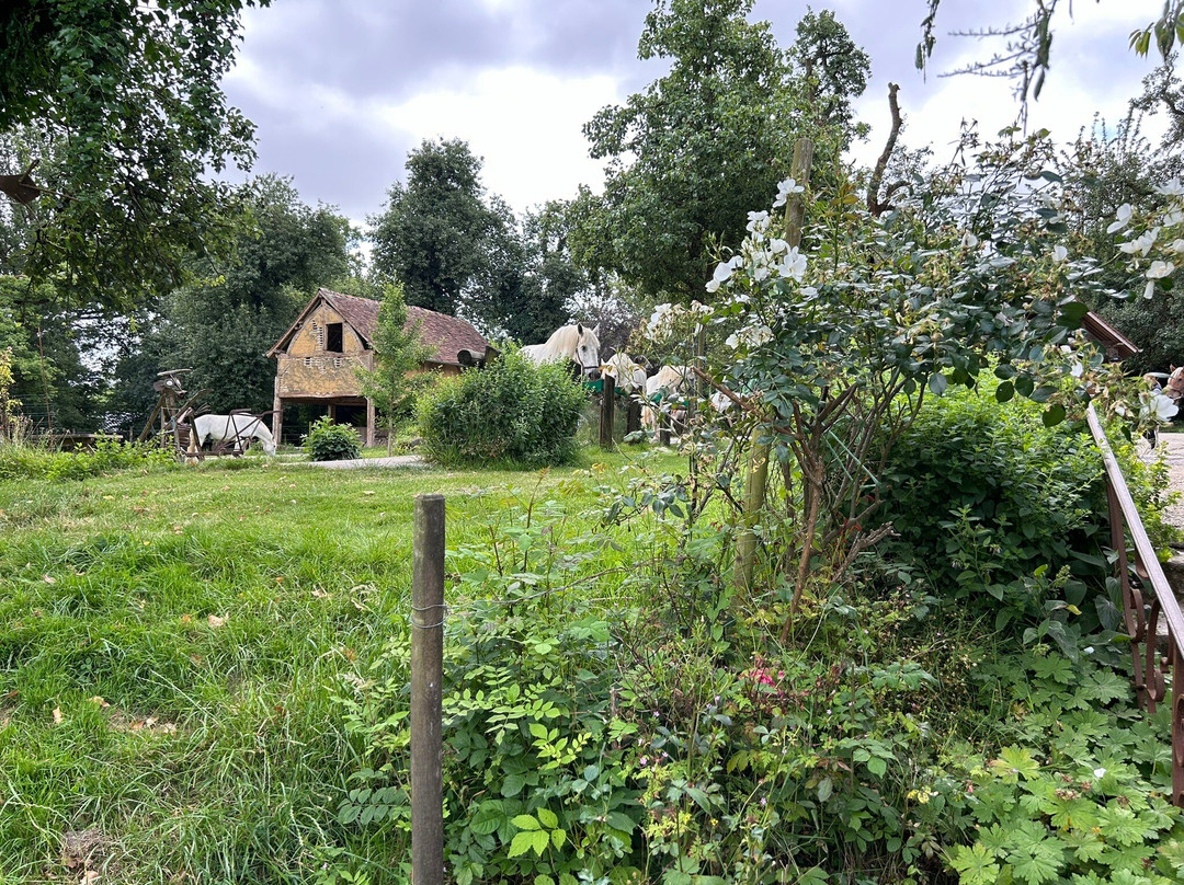 La Michaudière - Ferme du Cheval de Trait景点图片