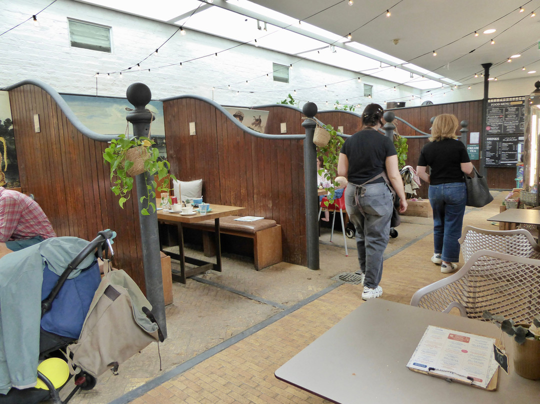 Orleans House Gallery景点图片