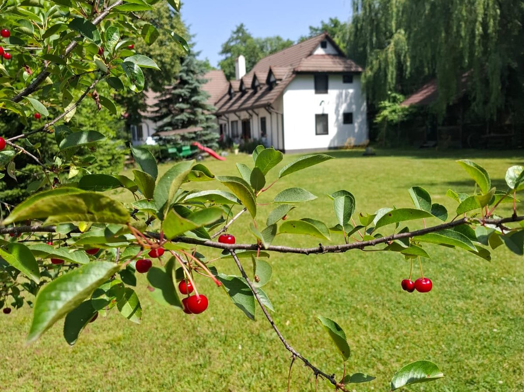 Adventure Romania-布加勒斯特必去景点