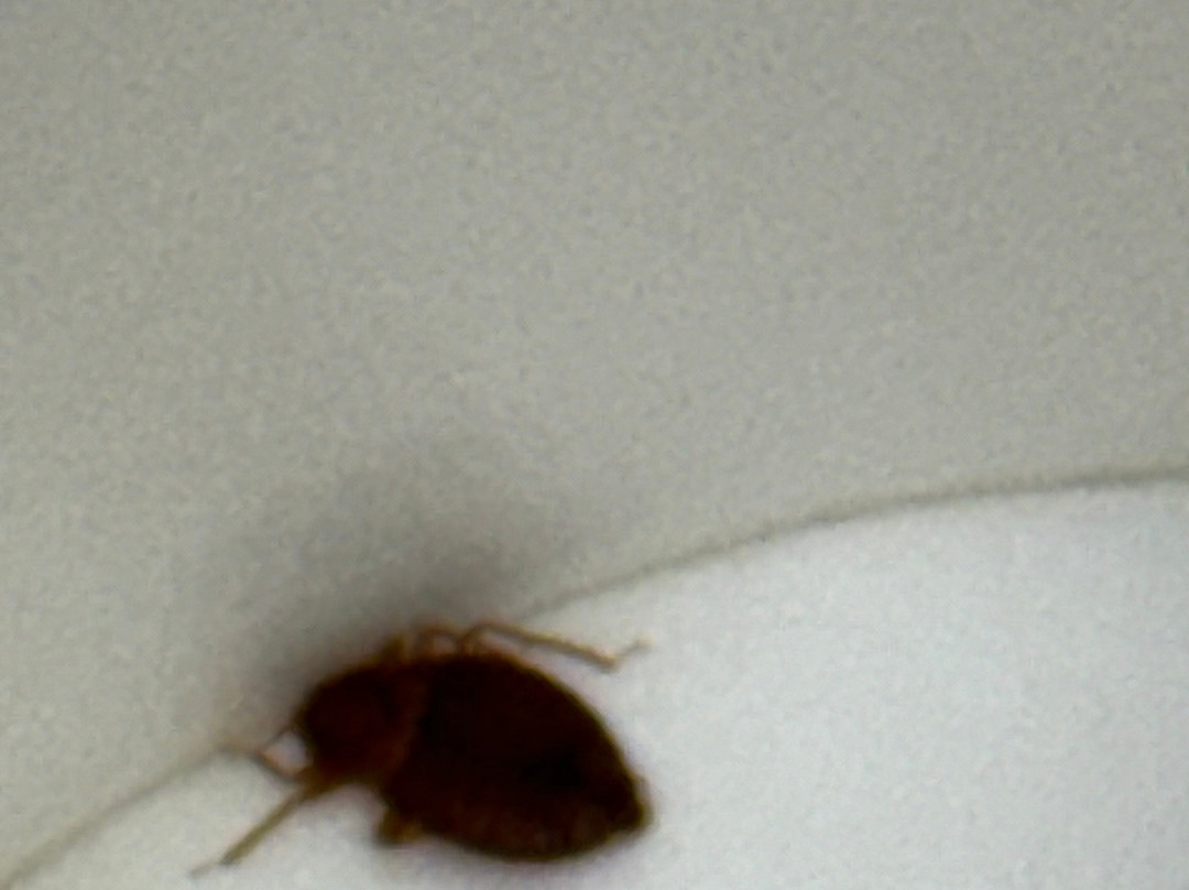 Super 8 by Wyndham Duluth主图