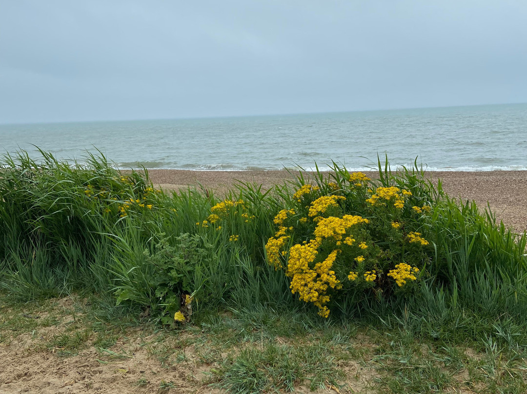 Highcliffe Castle景点图片