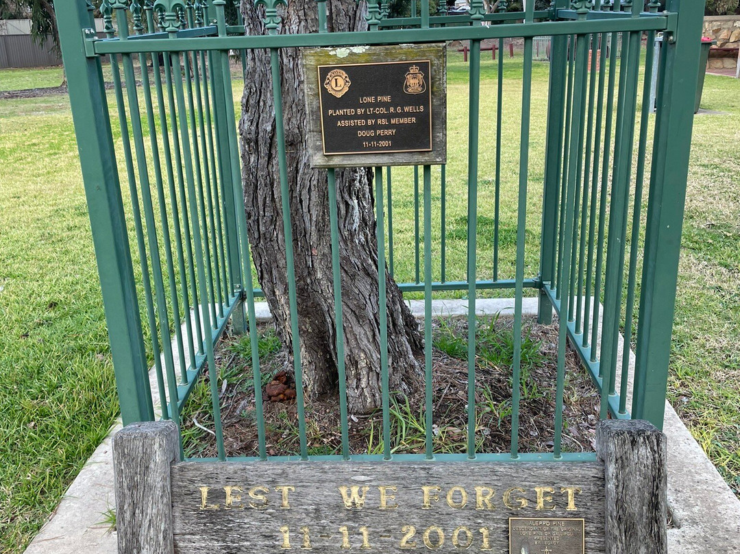 Rushworth Lions Club Federation Park-拉什沃思必去景点