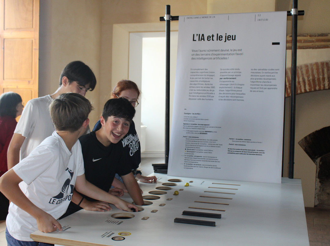 Musée Fermat景点图片