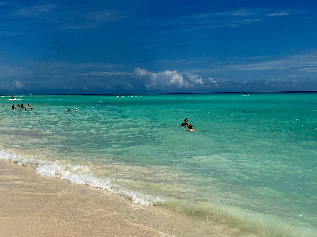 Pink Beach Lombok-罗威那海滩必去景点