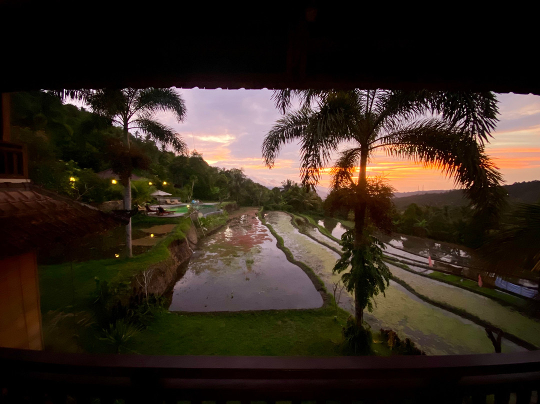 Bali Decouverte-登巴萨必去景点