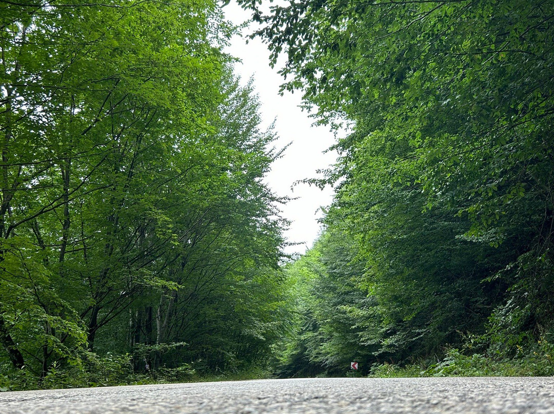 Ulugol Tabiat Parki景点图片