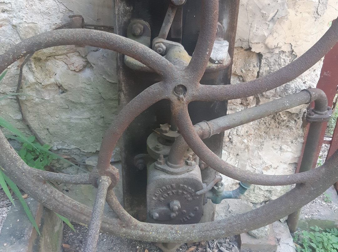 La Petite Nice主图