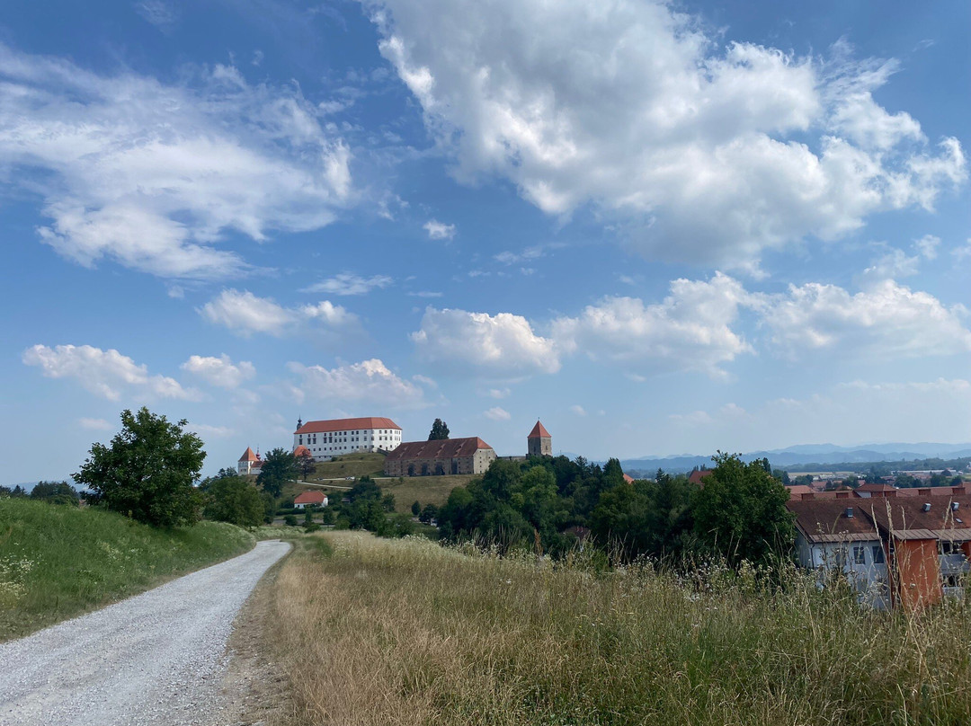 Panorama Metka Gutschi主图