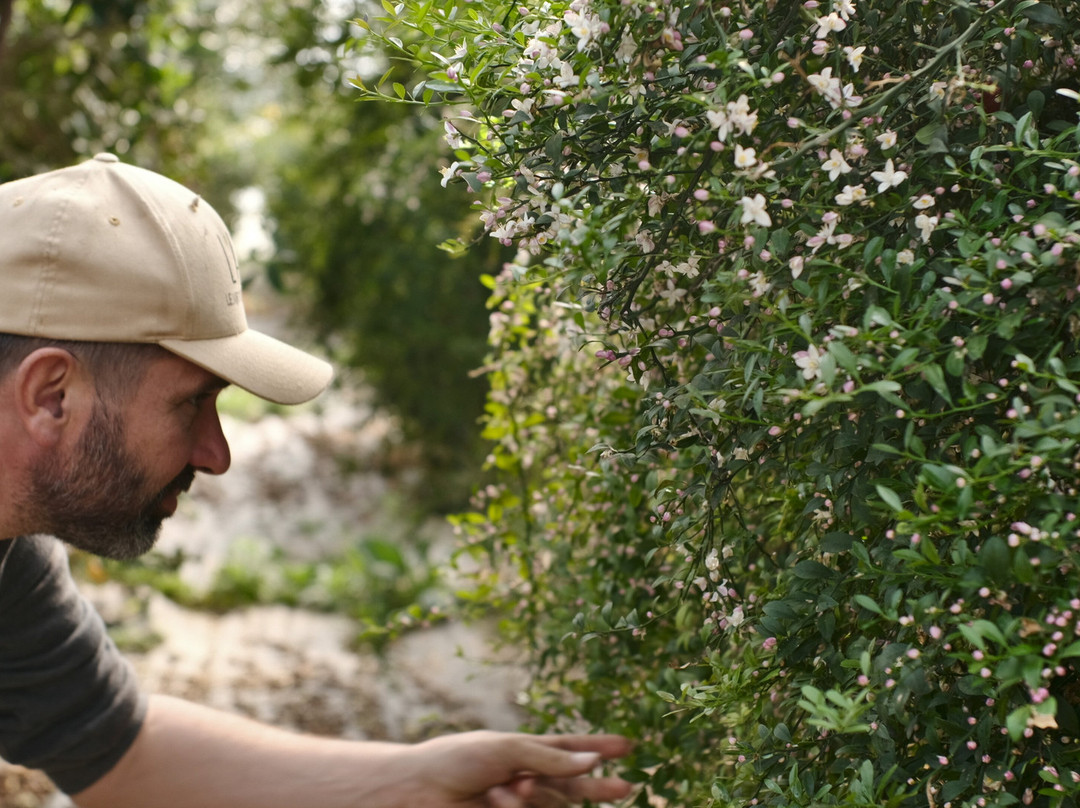Distillerie Du Petit Grain-Saint-Jean-de-Minervois必去景点