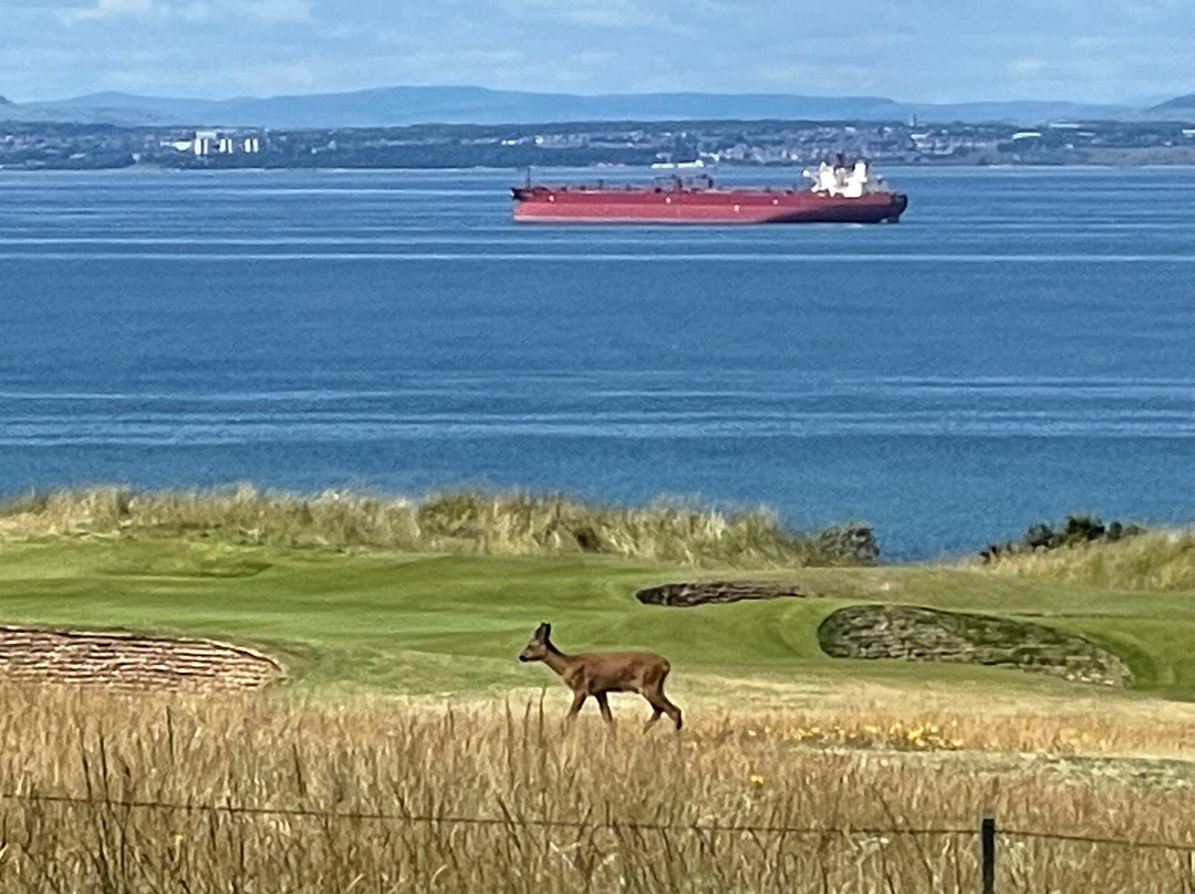 Gullane Golf Club-Gullane必去景点