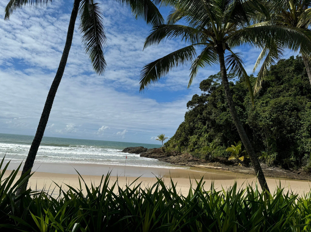 Sao Jose Beach-Itacare必去景点