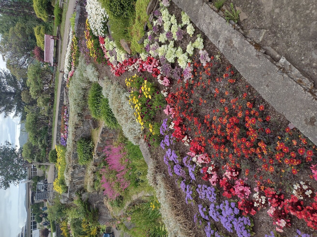 Sunken Gardens Park景点图片