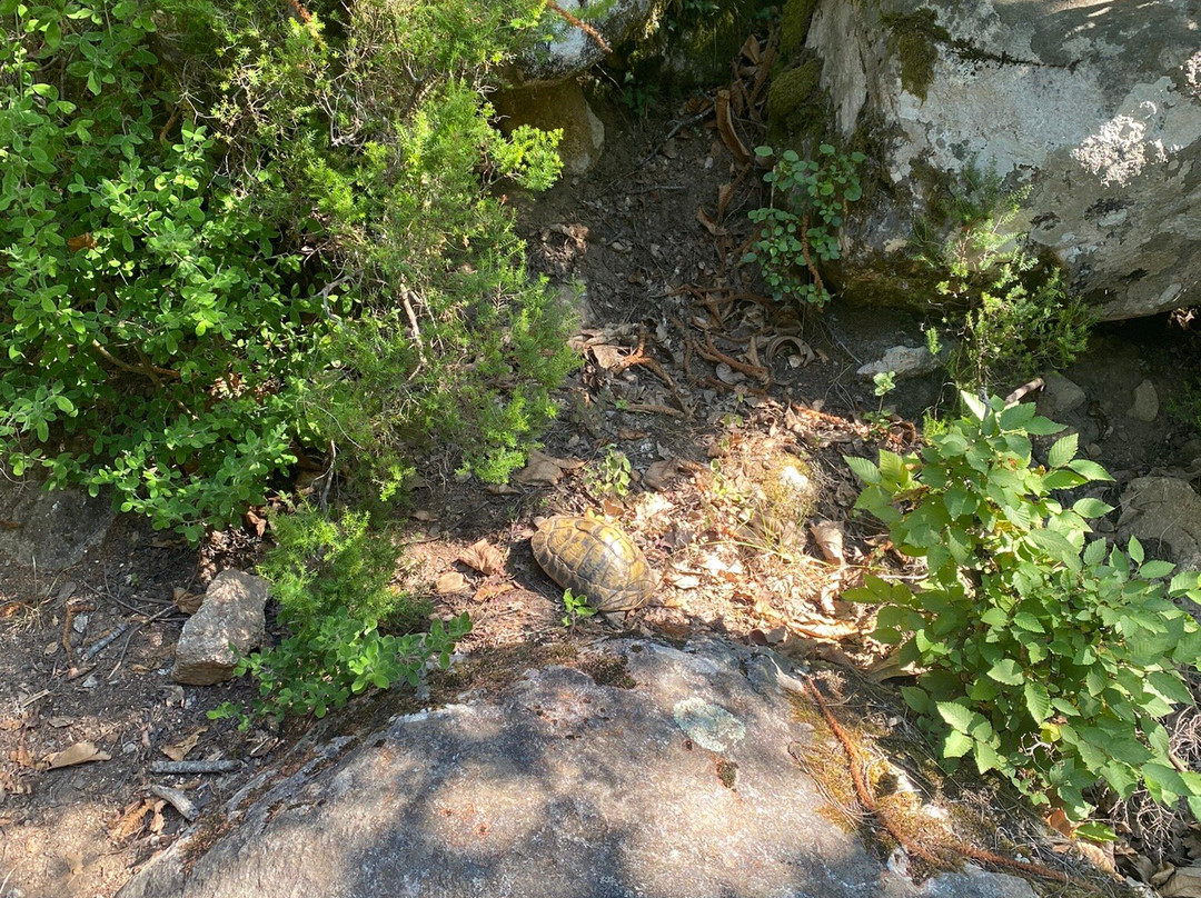 Rivière du Pont de l'Enfer