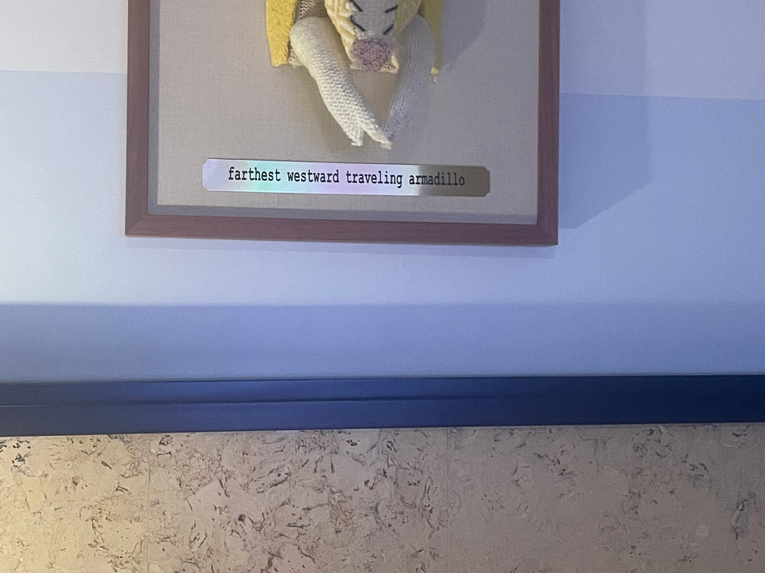 Calistoga Motor Lodge & Spa主图