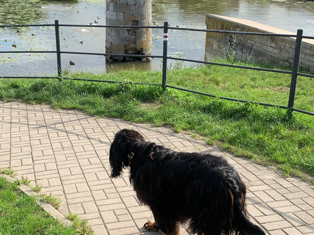 3CityTour-格但斯克必去景点