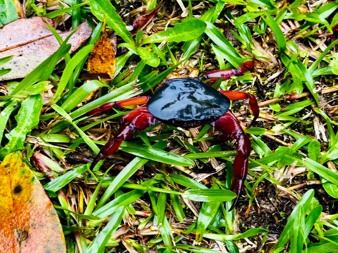 Parque Nacional del Agua Juan Castro Blanco-Bajos del Toro必去景点