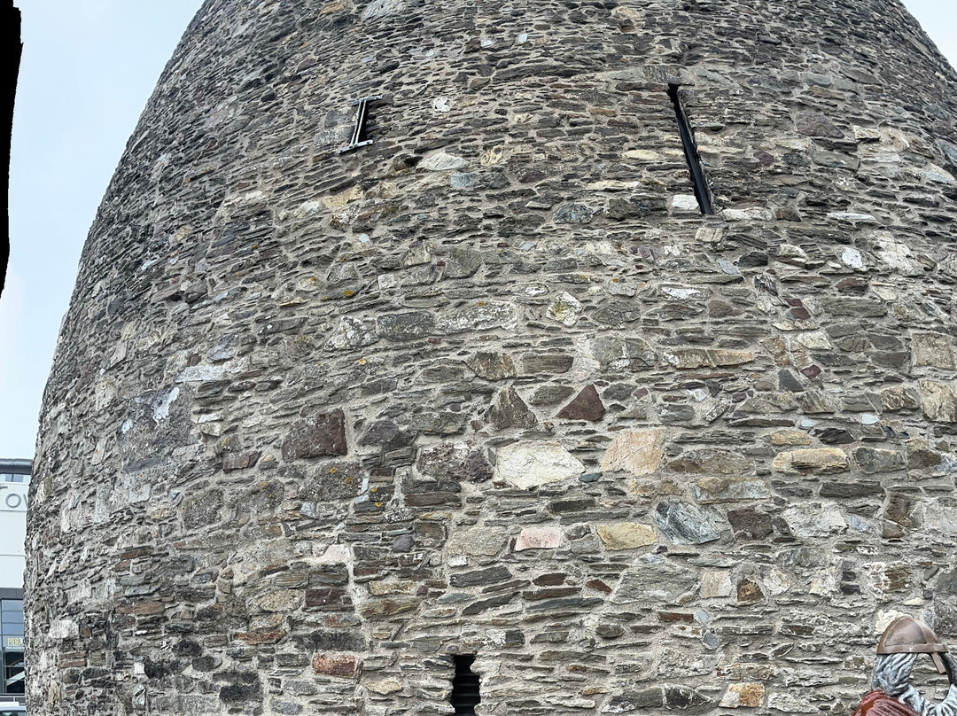 Waterford Treasures: King Of The Vikings-沃特福德必去景点