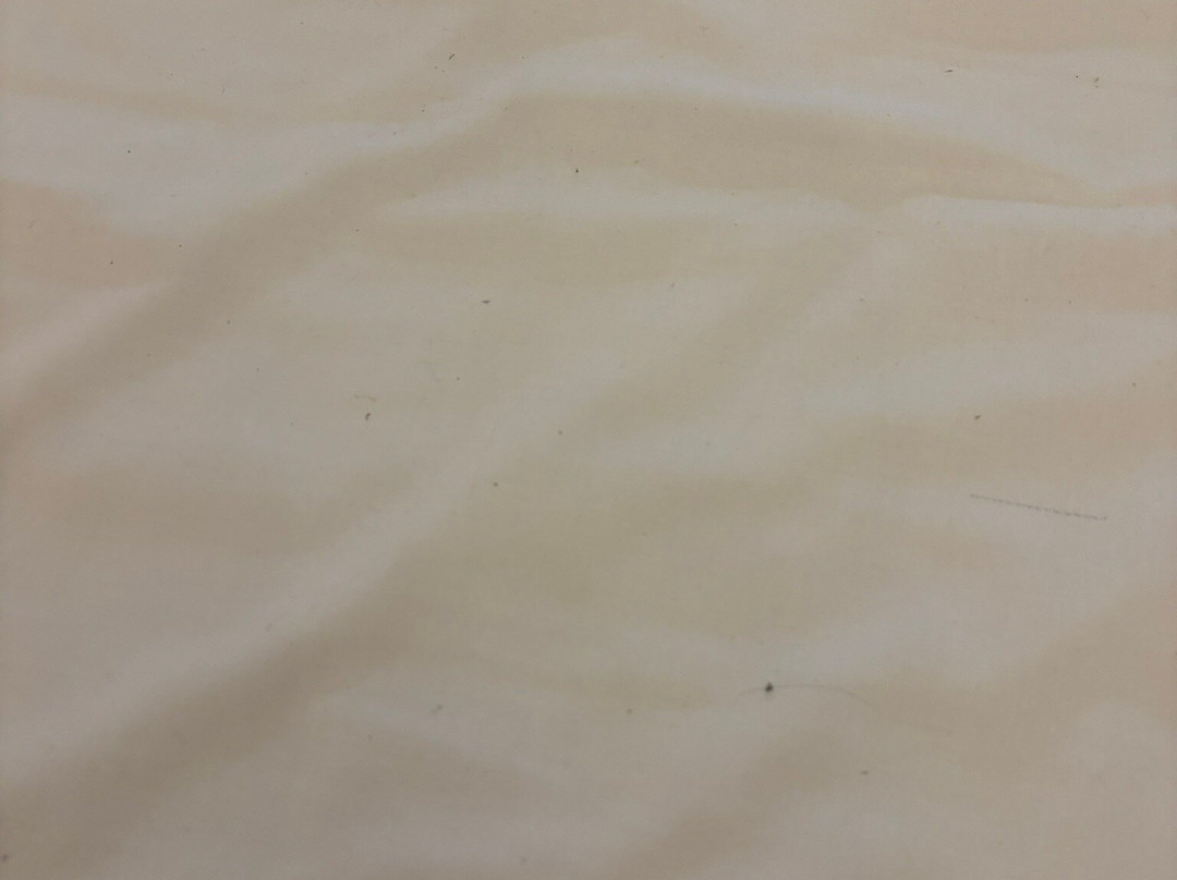 Antica Trattoria & Locanda Jole主图