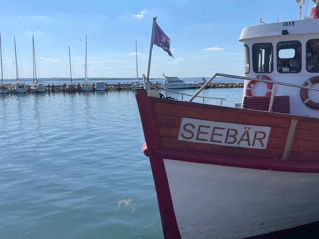 MS Seebär景点图片
