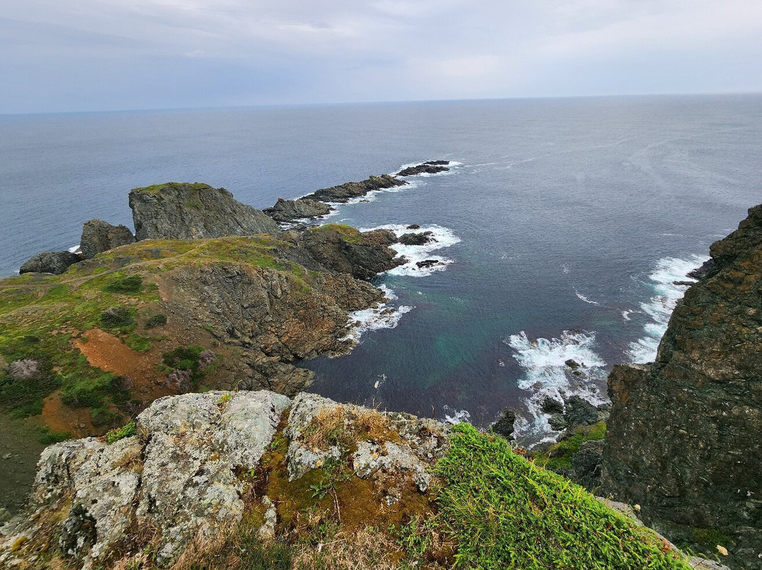 Harbour Lights Inn主图