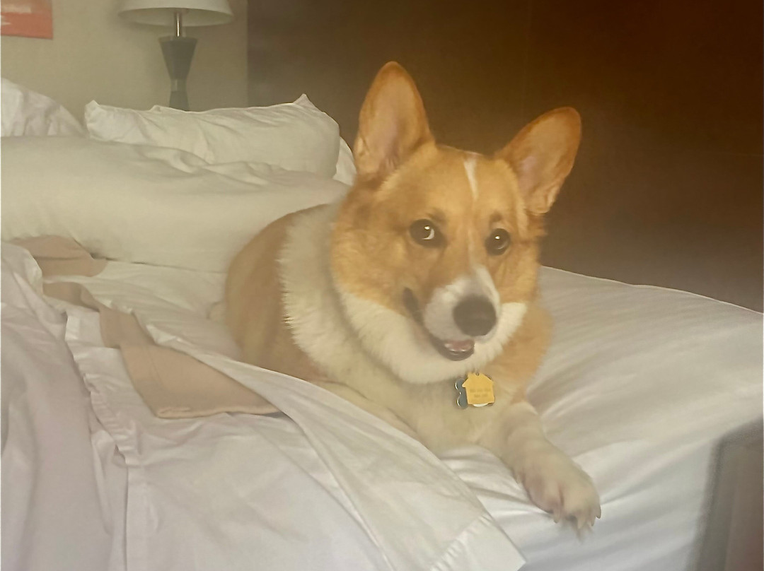 Best Western Of Hartland主图