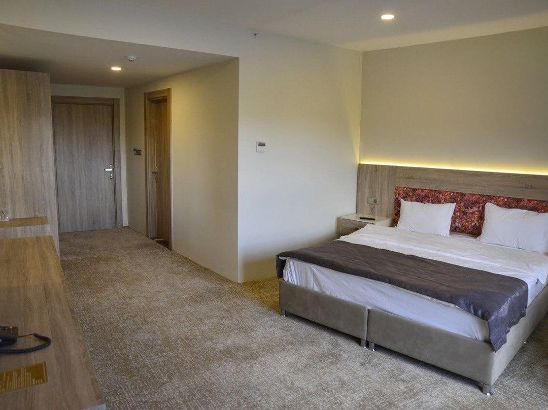 Adanis Park Termal Otel主图