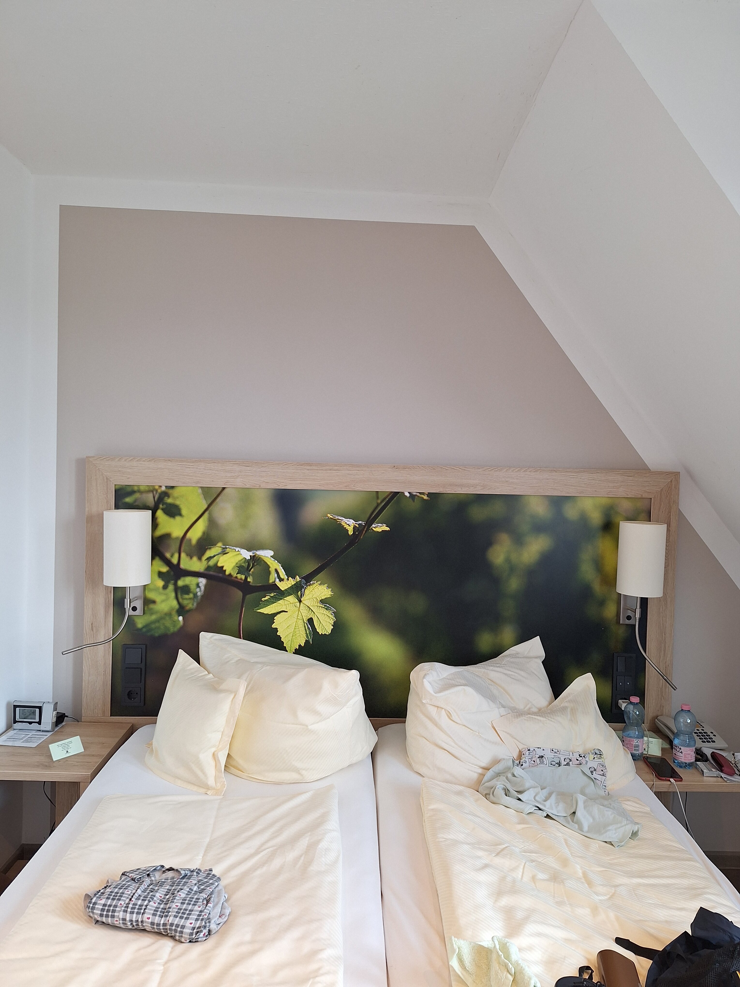 奥尔特克拉能酒店-客卧