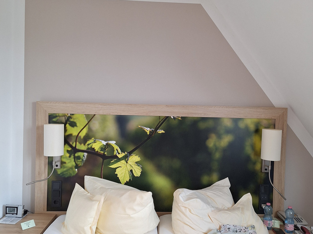 奥尔特克拉能酒店主图