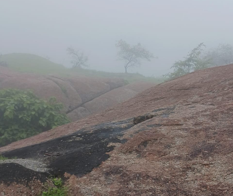 Taranga Hill Wildlife Sanctuary景点图片