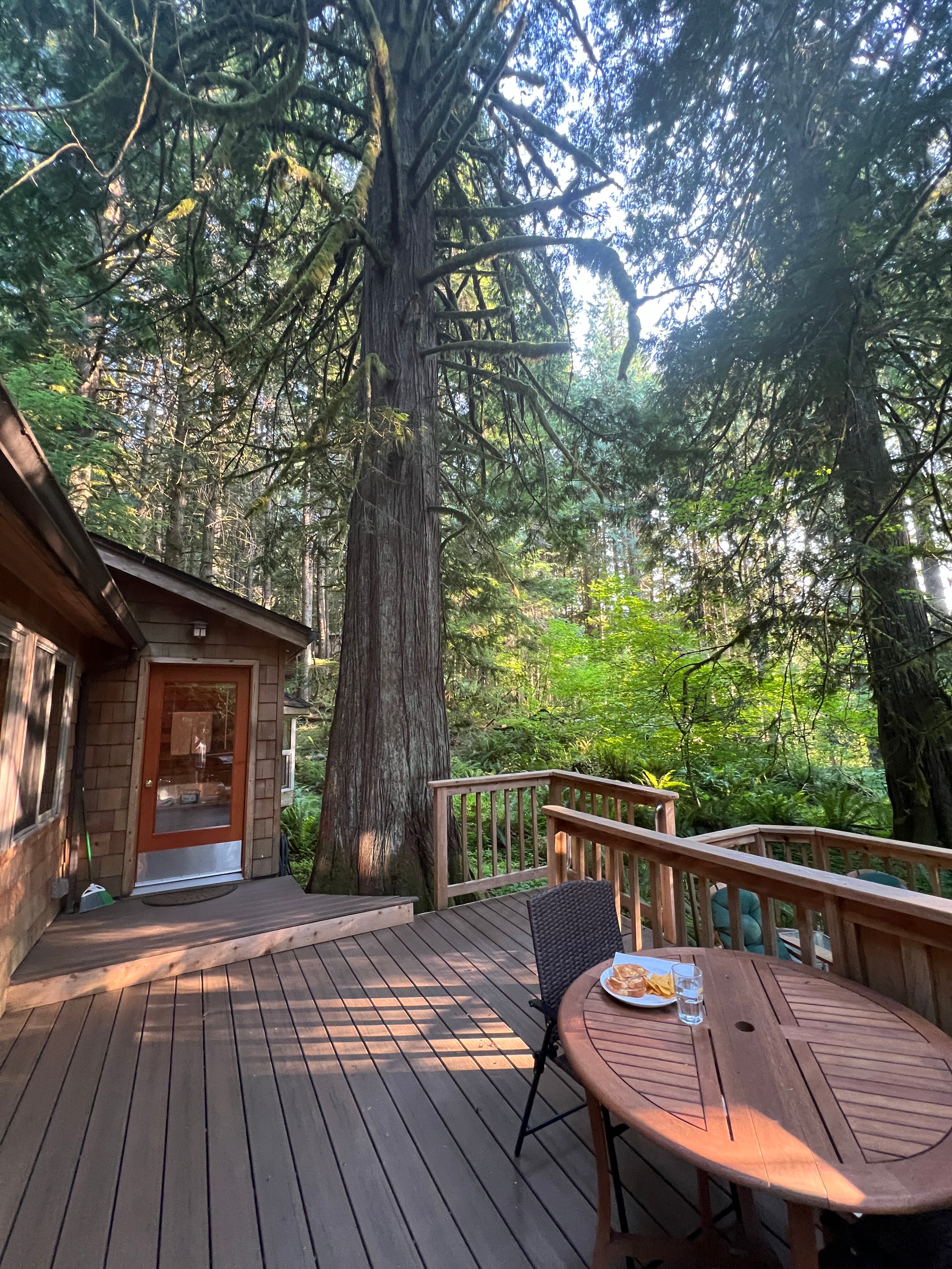 Deep Forest Cabins at Mt. Rainier-官方