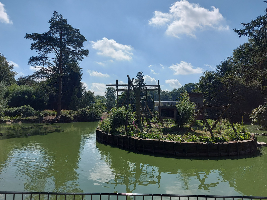 Zoo Veldhoven景点图片