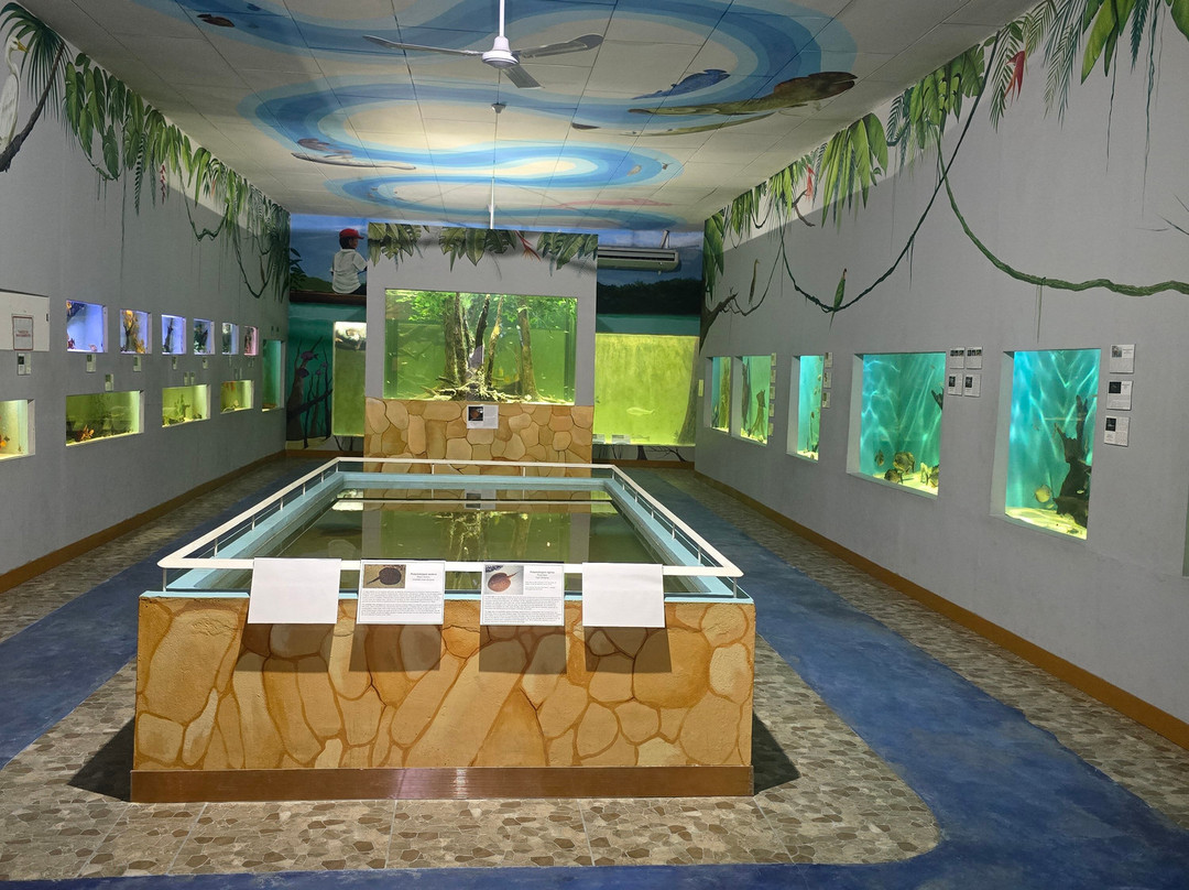 Aquarium Of The Amazon-伊基托斯必去景点