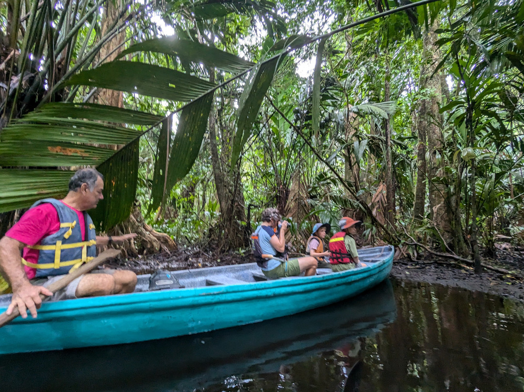 Tortuguero Infocenter Tours景点图片