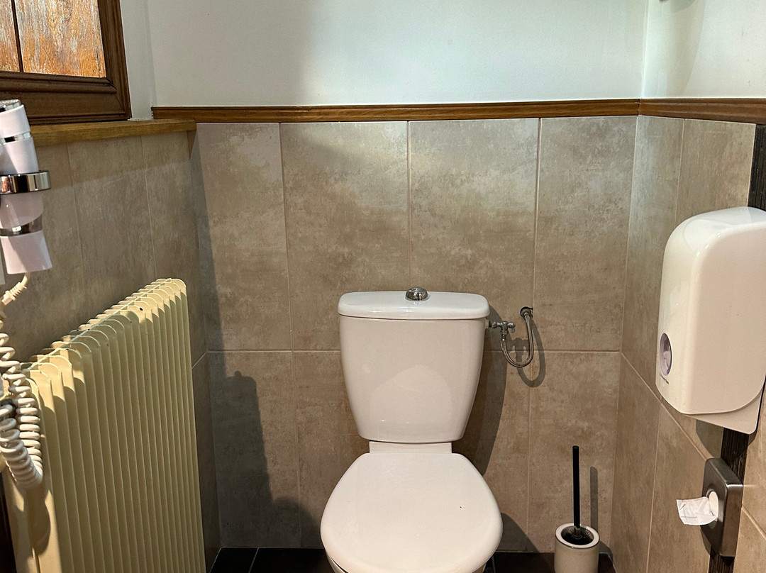 Logis Hôtel la Vinaigrerie主图