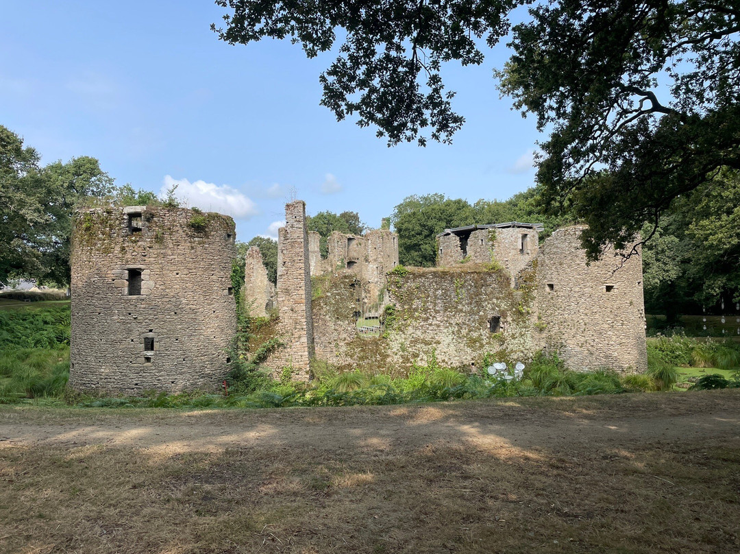 Château de Ranrouët景点图片