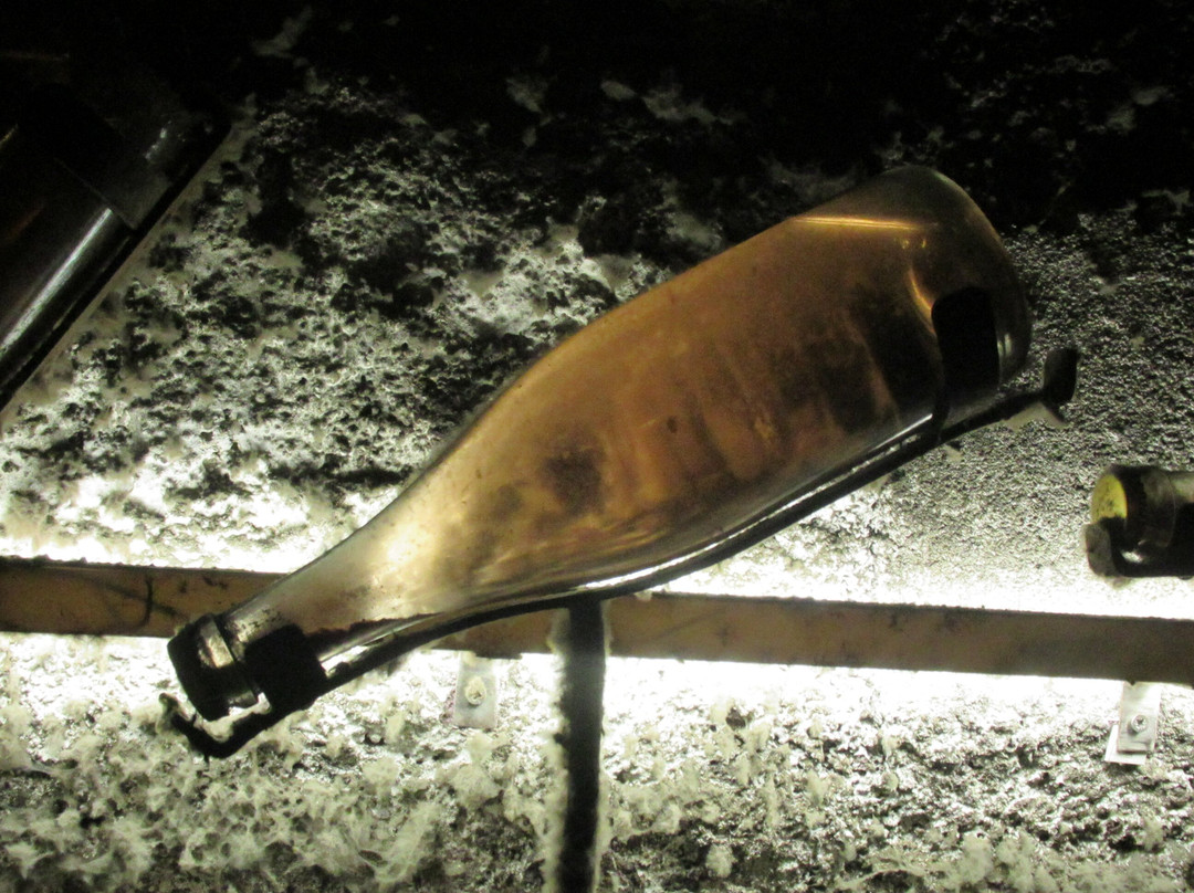 Caves Veuve Amiot景点图片