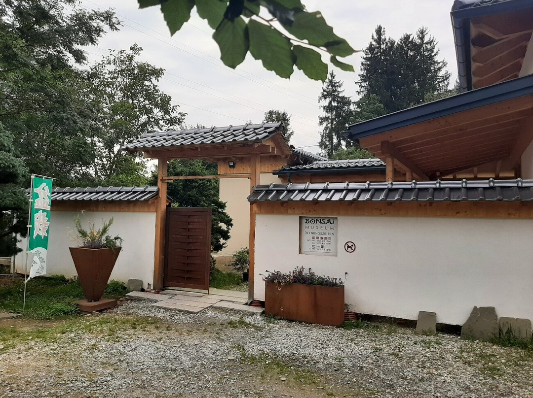 Bonsaimuseum景点图片