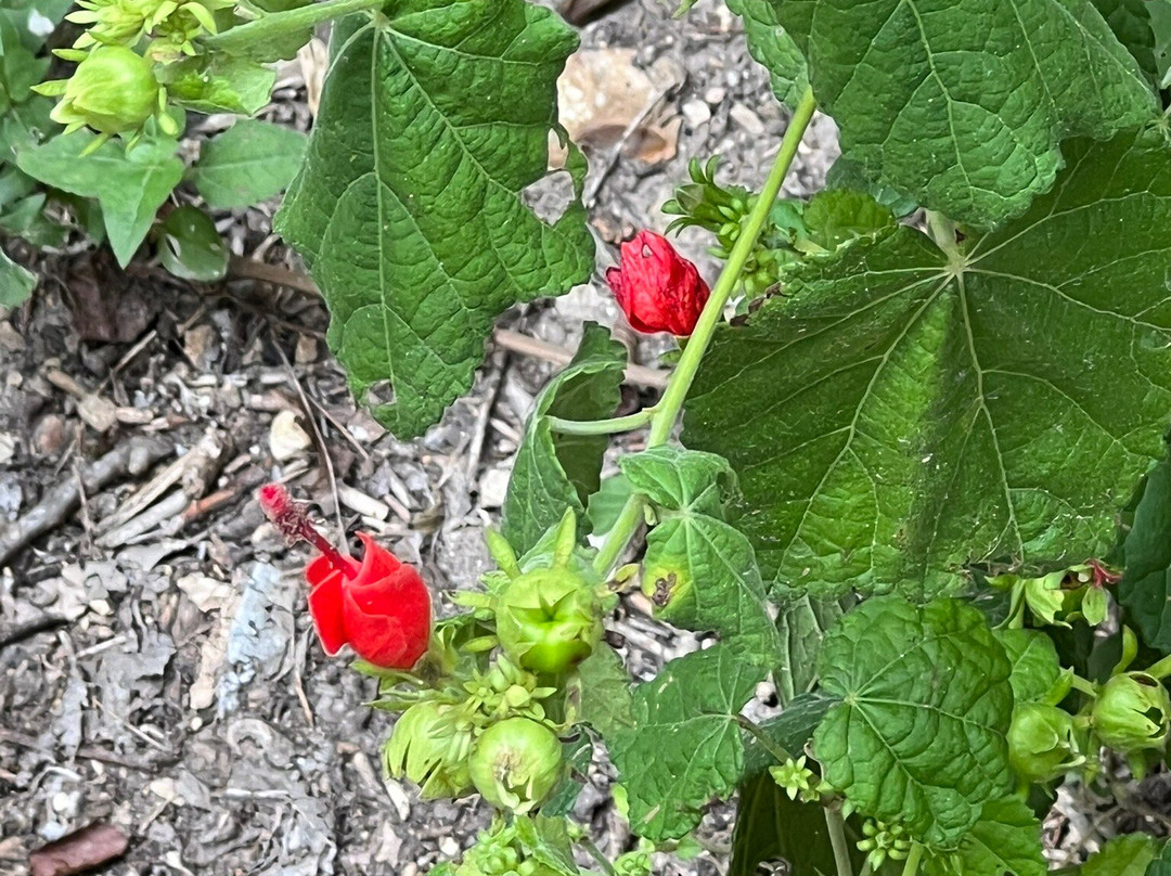 Medina River Natural Area-圣安东尼奥市必去景点