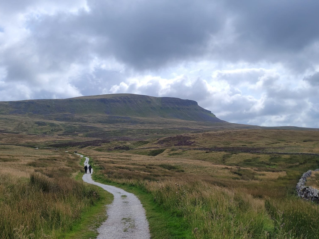 Pen-y-ghent景点图片