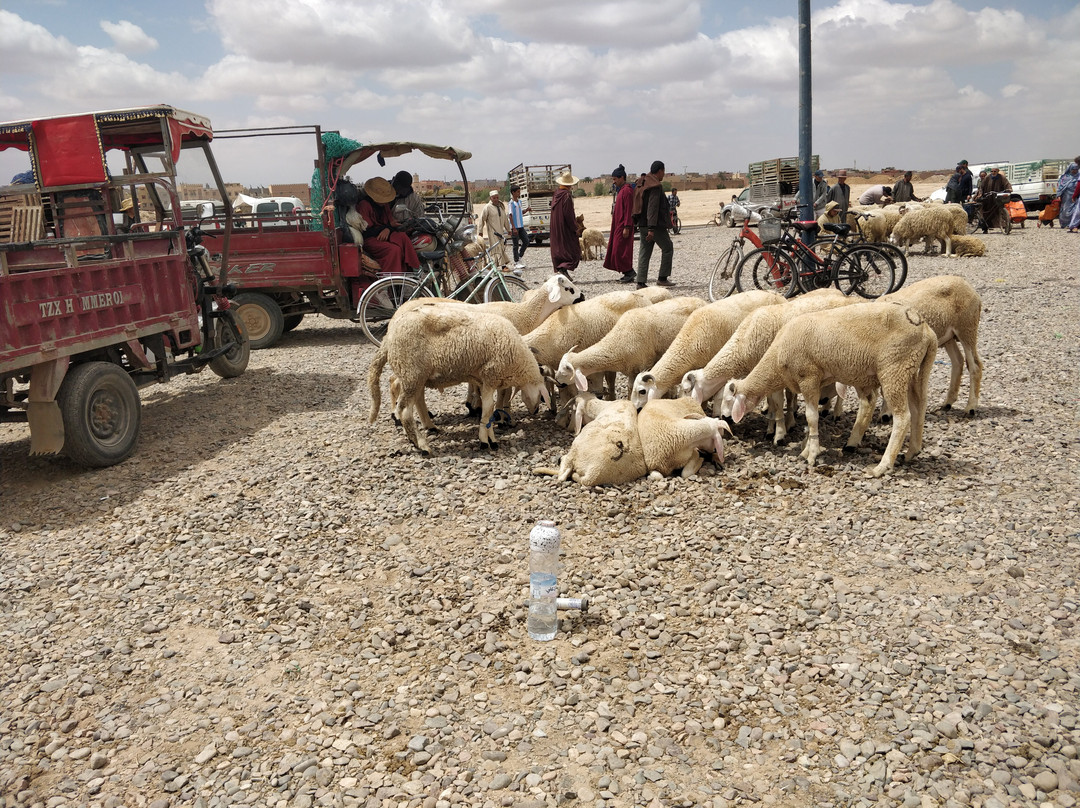 Sunday Souk-塔鲁丹特必去景点