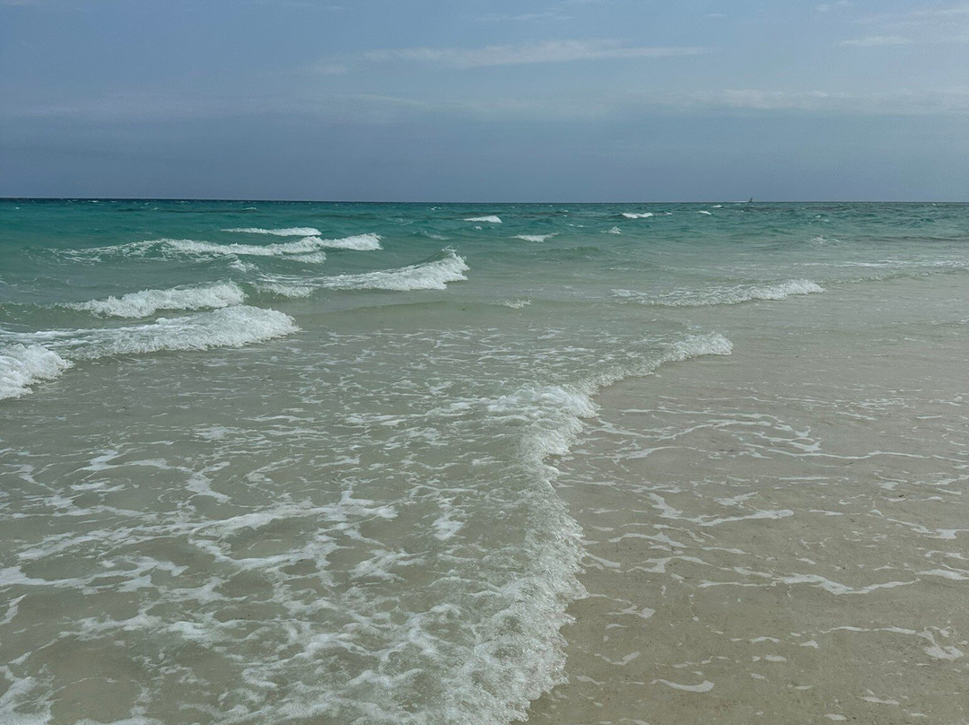 Escursioni Ronaldo-Kendwa必去景点